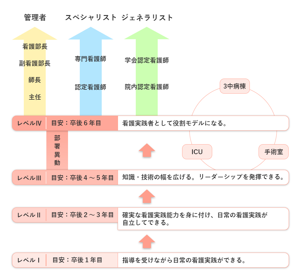 キャリアパス