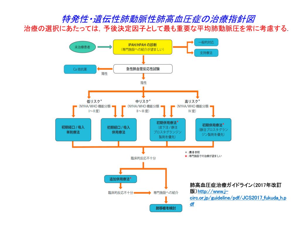 特発性・遺伝性肺動脈性肺高血圧症の治療指針図