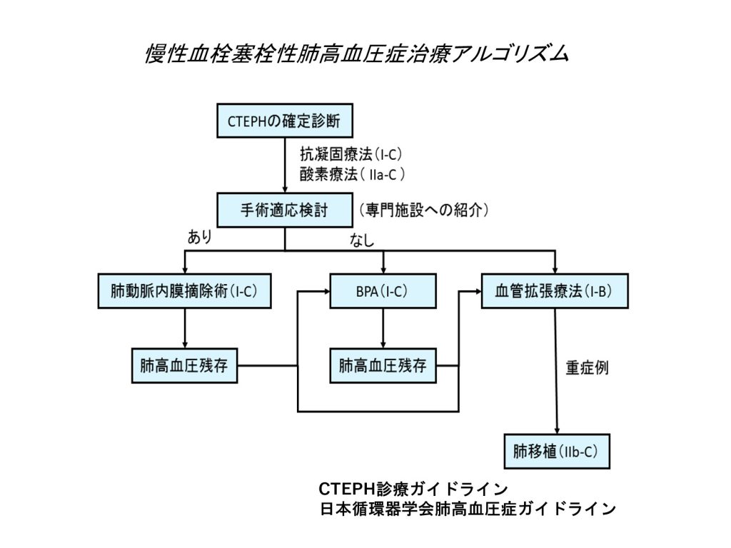 慢性血栓塞栓性肺高血圧症治療アルゴリズム