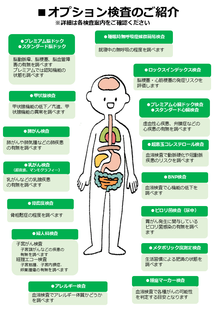オプション検査案内
