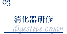 消化器研修