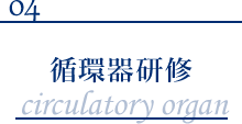 循環器研修